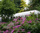Garden party