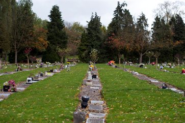 Cemetery view