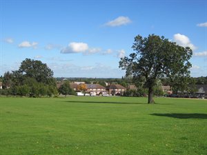 Ripon Park view