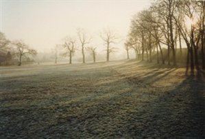 King George Recreation Ground in the frost