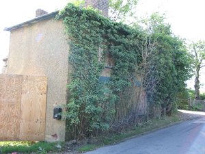 Delrow Cottage, Patchetts Green, a derelict cottage covered in foliage