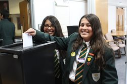 Voting in a mock referendum