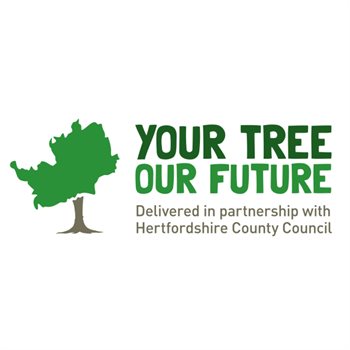 Your Tree Our Future