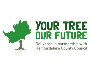 Your Tree Our Future - Hertfordshire residents can be in with a chance to claim a free tree, which will help improve air quality, reduce the carbon in our atmosphere, support biodiversity and improve mental health. Find out how you can apply.