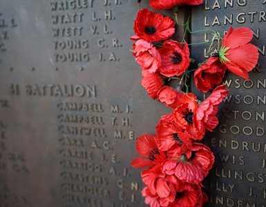 ﻿Plans to provide a memorial for all service personnel who have served and died defending our country since the creation of the borough of Hertsmere have received support.
