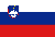 Slovenian flag