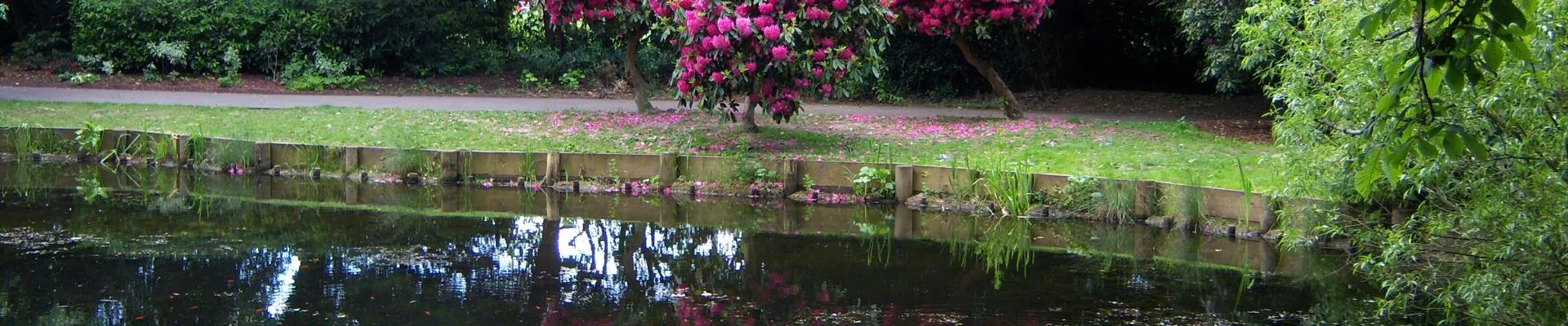 A lake surrounded by trees in Potters Bar.