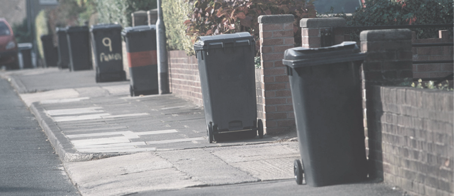 A residential street with household bins waiting to be collected
