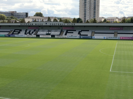 Meadow Park stadium