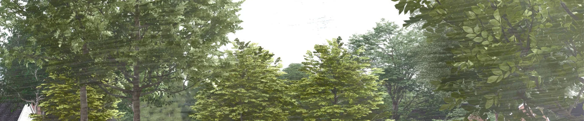 Concept illustration of a leafy development