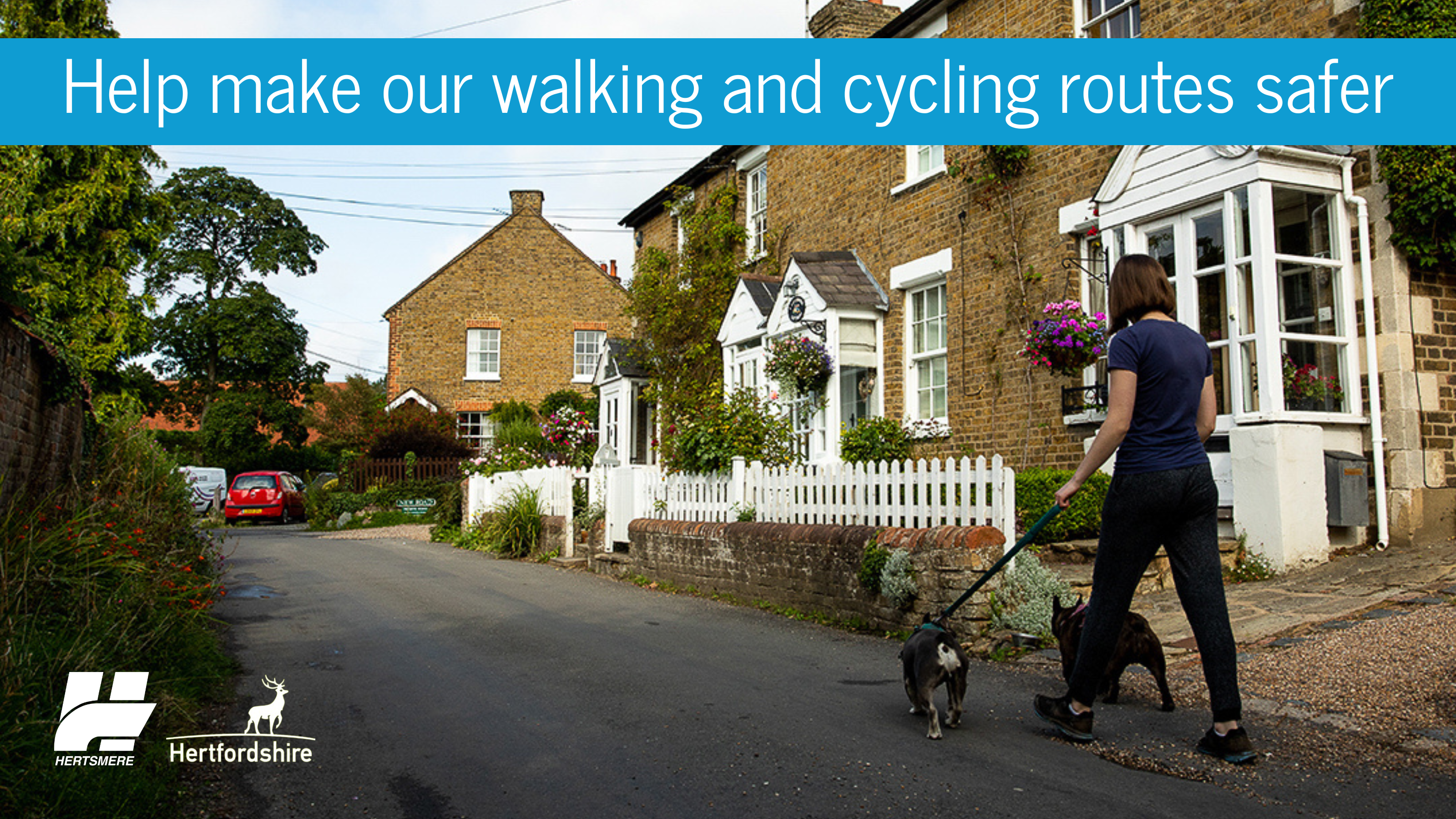 A person walking two dogs along a country road next to houses