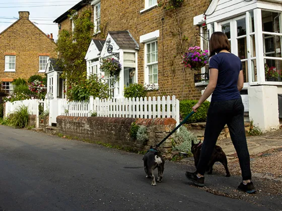 A person walking two dogs along a country road next to houses