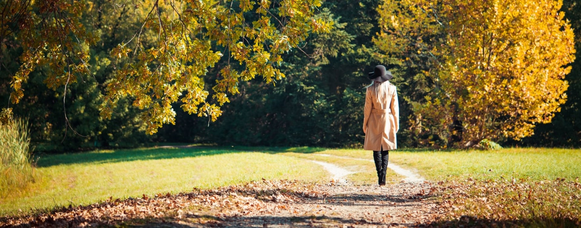 Lady walking in a park