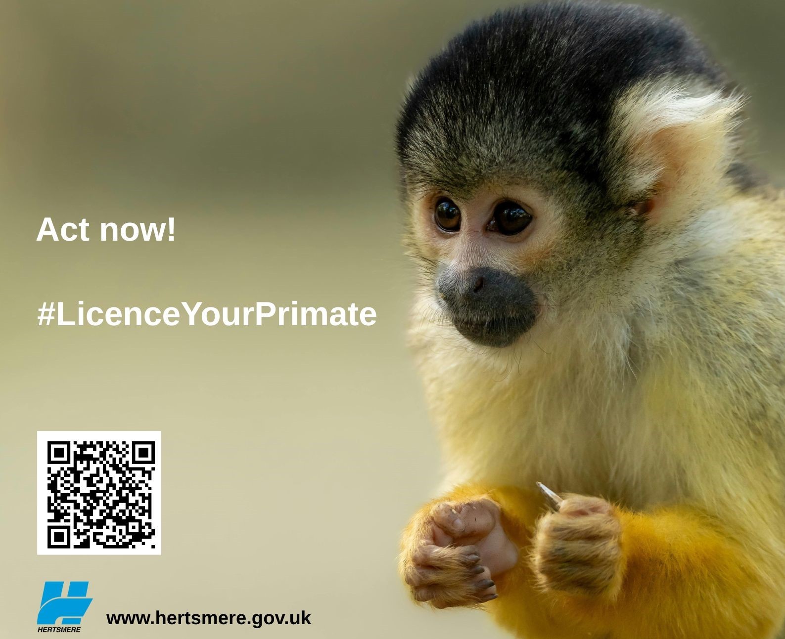 Act now! #LicenceYourPrimate