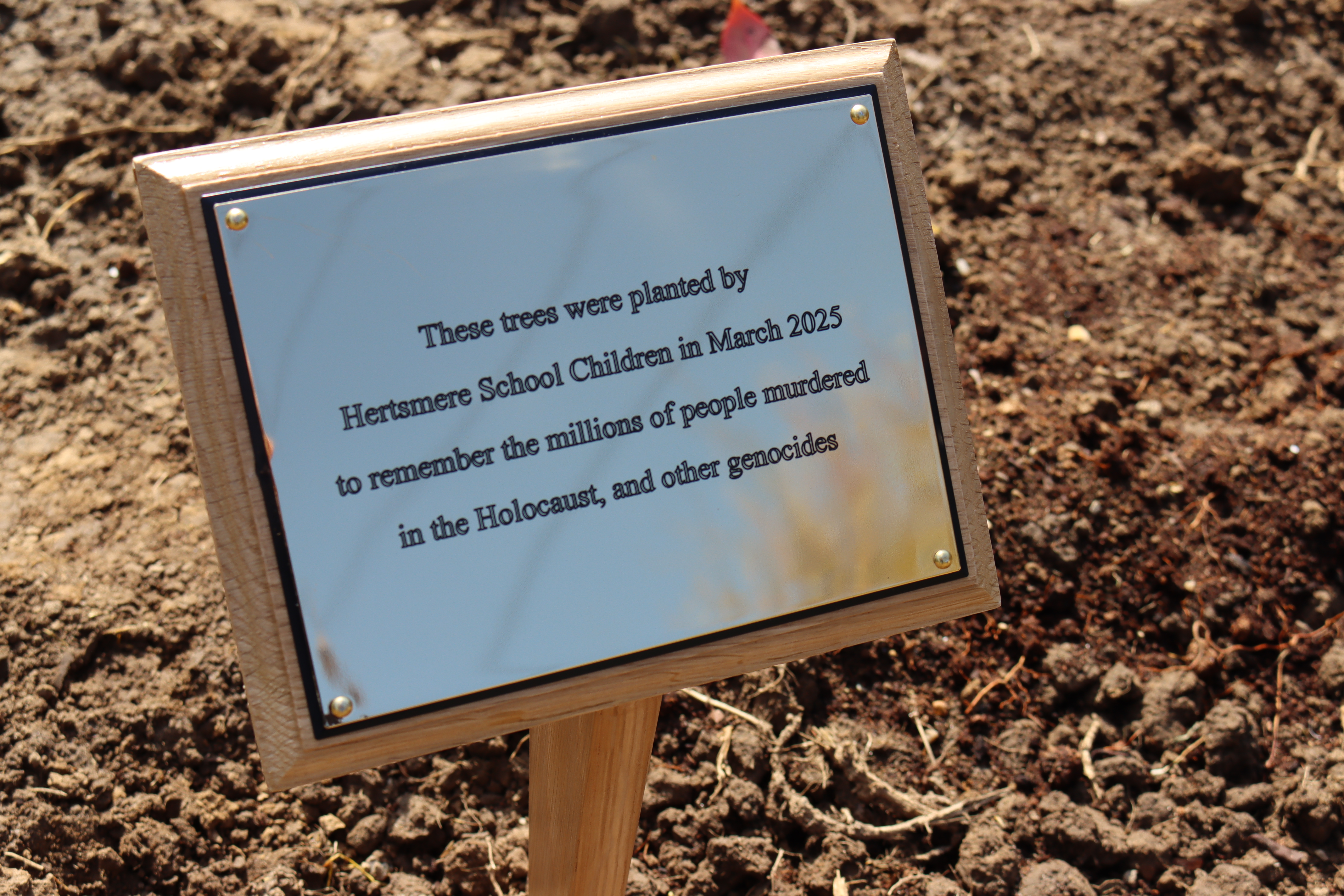 The plaque at the tree-planting site.