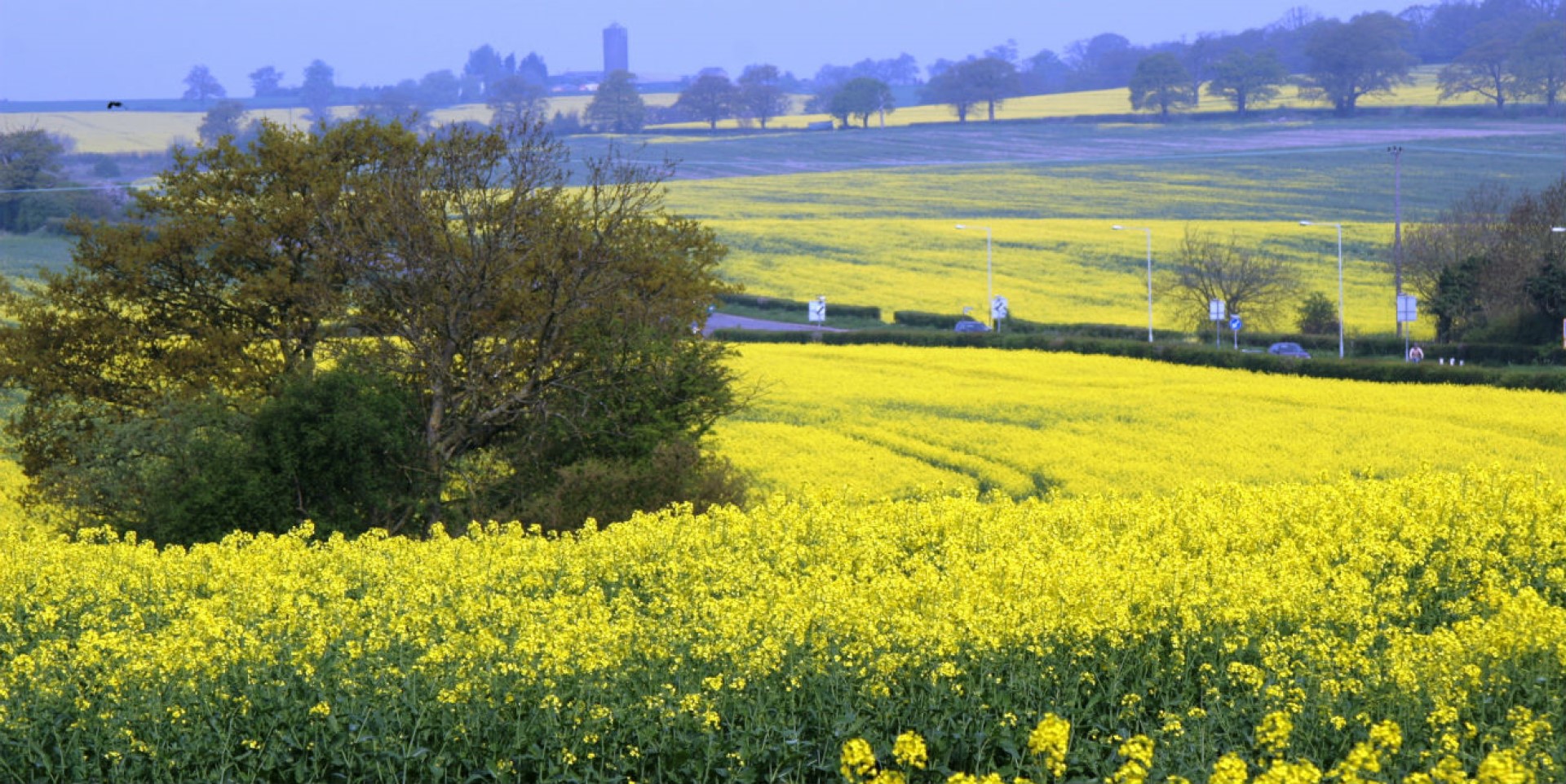 Fields and road views from South Mimms