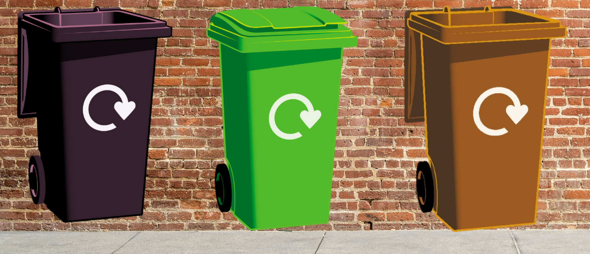 Image of black, green and brown bins