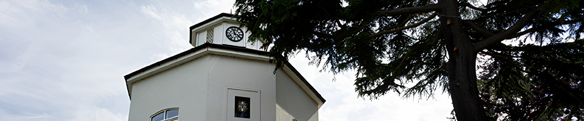 Top of the Radlett Centre with a tree